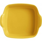 Форма для запекания прямоугольная 28x24 см Emile Henry 902050 Форма для запекания прямоугольная 28x24 см Emile Henry 902050