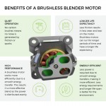 Блендер BioChef Atlas Power Blender (Stainless Steel) KT-BL-BC-AT-EU-BL Блендер BioChef Atlas Power Blender (Stainless Steel) KT-BL-BC-AT-EU-BL