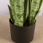 Искусственное растение Engard Sansevieria, 65 см (DW-11) Искусственное растение Engard Sansevieria, 65 см (DW-11)