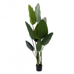 Искусственное растение Banana Tree, 155 см (TW-09) Искусственное растение Banana Tree, 155 см (TW-09)