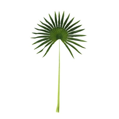 Искусственные листья Engard Fan Palm 98 см (DW-32) Искусственные листья Engard Fan Palm 98 см (DW-32)