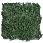 Декоративное зеленое покрытие-фитостена "Туя", Engard 50*50 см (GCK-02) Декоративное зеленое покрытие-фитостена "Туя", Engard 50*50 см (GCK-02)