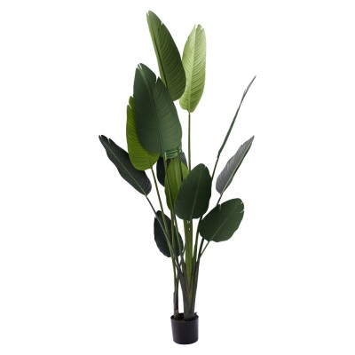 Искусственное растение Engard Banana Tree, 190 см (TW-10) Искусственное растение Engard Banana Tree, 190 см (TW-10)
