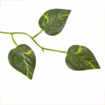 Ветка искусственная Engard Scindapsus, 100 см (DW-13) Ветка искусственная Engard Scindapsus, 100 см (DW-13)