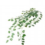 Ветка искусственная Engard Scindapsus, 100 см (DW-13) Ветка искусственная Engard Scindapsus, 100 см (DW-13)