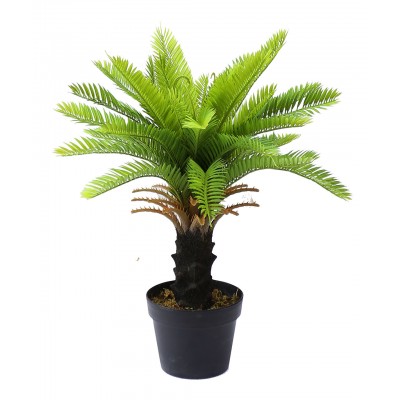 Искусственное растение Engard Cycas Palm, 60 см (DW-24) Искусственное растение Engard Cycas Palm, 60 см (DW-24)