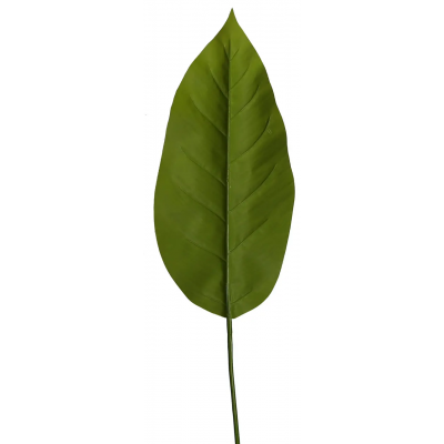 Искусственные листья Engard Spathiphyllum 65 см (DW-33) Искусственные листья Engard Spathiphyllum 65 см (DW-33)