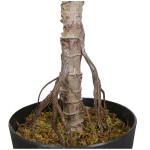 Искусственное растение Engard Fiddle, 110 см (DW-04) Искусственное растение Engard Fiddle, 110 см (DW-04)