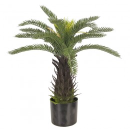 Искусственное растение Engard Fan Palm, 60 см (DW-25) Искусственное растение Engard Fan Palm, 60 см (DW-25)