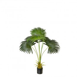 Искусственное растение Engard Fan Palm, 95 см (DW-26) Искусственное растение Engard Fan Palm, 95 см (DW-26)