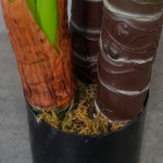 Искусственное растение Engard Taro , 170 см (DW-06) Искусственное растение Engard Taro , 170 см (DW-06)