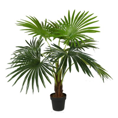 Искусственное растение Engard Fan Palm, 120 см (DW-27) Искусственное растение Engard Fan Palm, 120 см (DW-27)