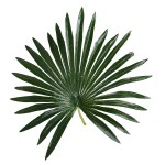 Искусственное растение Engard Fan Palm, 120 см (DW-27) Искусственное растение Engard Fan Palm, 120 см (DW-27)