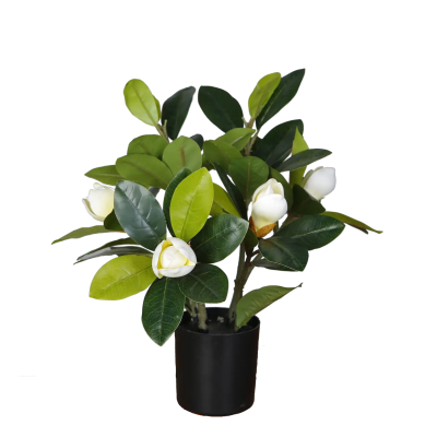 Искусственное растение Engard Magnolia, 40 см (DW-16) Искусственное растение Engard Magnolia, 40 см (DW-16)