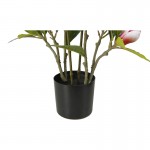 Искусственное растение Engard Magnolia, 70 см (DW-17) Искусственное растение Engard Magnolia, 70 см (DW-17)