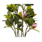 Искусственное растение Engard Magnolia, 70 см (DW-17) Искусственное растение Engard Magnolia, 70 см (DW-17)