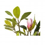 Искусственное растение Engard Magnolia, 70 см (DW-17) Искусственное растение Engard Magnolia, 70 см (DW-17)