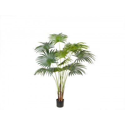 Искусственное растение Engard Fan Palm, 150 см (DW-28) Искусственное растение Engard Fan Palm, 150 см (DW-28)