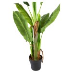 Искусственное растение Engard Banana Tree , 140 см (DW-08) Искусственное растение Engard Banana Tree , 140 см (DW-08)