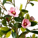Искусственное растение Engard Magnolia, 150 см (DW-19) Искусственное растение Engard Magnolia, 150 см (DW-19)