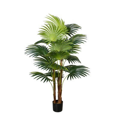 Искусственное растение Engard Cycas Palm, 150 см (DW-23) Искусственное растение Engard Cycas Palm, 150 см (DW-23)