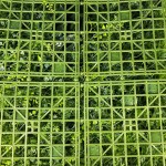 Декоративное зеленое покрытие "Гринея", 50х50 см (GCK-28) Декоративное зеленое покрытие "Гринея", 50х50 см (GCK-28)
