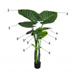 Искусственное растение Engard Taro, 180 см (TW-28) Искусственное растение Engard Taro, 180 см (TW-28)