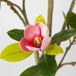 Искусственное растение Engard Magnolia, 150 см (DW-18) Искусственное растение Engard Magnolia, 150 см (DW-18)