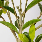 Искусственное растение Engard Magnolia, 150 см (DW-18) Искусственное растение Engard Magnolia, 150 см (DW-18)