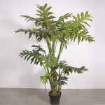 Искусственное растение Engard Lacy Tree, 150 см (DW-29) Искусственное растение Engard Lacy Tree, 150 см (DW-29)