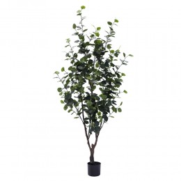 Искусственное растение Engard Eucalyptus, 180 см (TW-15) Искусственное растение Engard Eucalyptus, 180 см (TW-15)