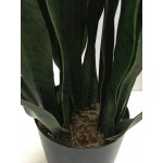 Искусственное растение Engard Sansevieria, 65 см (DW-10) Искусственное растение Engard Sansevieria, 65 см (DW-10)