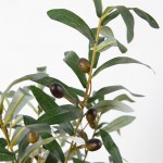 Искусственное растение Engard Olive Tree, 80 см (DW-20) Искусственное растение Engard Olive Tree, 80 см (DW-20)