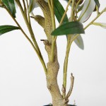 Искусственное растение Engard Olive Tree, 80 см (DW-20) Искусственное растение Engard Olive Tree, 80 см (DW-20)