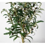 Искусственное растение Engard Olive Tree, 80 см (DW-20) Искусственное растение Engard Olive Tree, 80 см (DW-20)