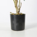 Искусственное растение Engard Olive Tree, 80 см (DW-20) Искусственное растение Engard Olive Tree, 80 см (DW-20)