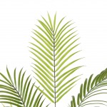 Искусственное растение Engard Areca Palm, 150 см (DW-30) Искусственное растение Engard Areca Palm, 150 см (DW-30)