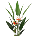 Искусственное растение Engard Strelitzia, 140 см (DW-09) Искусственное растение Engard Strelitzia, 140 см (DW-09)