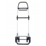 Сумка-тележка Rolser I-Max Logos 4L 43 Malva (IMX321-1013) Сумка-тележка Rolser I-Max Logos 4L 43 Malva (IMX321-1013)