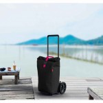 Сумка-тележка Gimi Koоl 60 Black (168409) Сумка-тележка Gimi Koоl 60 Black (168409)