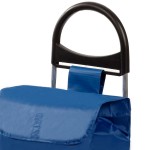 Сумка-тележка Aurora Ercole 50 Blue (128 Blue) Сумка-тележка Aurora Ercole 50 Blue (128 Blue)