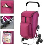 Сумка-тележка ShoppingCruiser Stairs Climber 53 Fuchsia (604353) Сумка-тележка ShoppingCruiser Stairs Climber 53 Fuchsia (604353)