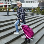 Сумка-тележка ShoppingCruiser Stairs Climber 53 Black (604352) Сумка-тележка ShoppingCruiser Stairs Climber 53 Black (604352)