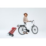 Сумка-тележка Andersen Scala Shopper Anea Grey (112-175-20)
