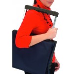 Сумка-тележка Rolser Plegamatic Original MF 40 Klein (PLE001-1062) Сумка-тележка Rolser Plegamatic Original MF 40 Klein (PLE001-1062)