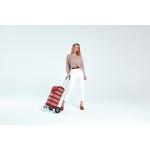 Сумка-тележка Andersen Scala Shopper Hera Silver (112-004-22) Сумка-тележка Andersen Scala Shopper Hera Silver (112-004-22)