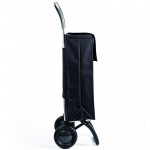 Сумка-тележка Rolser 2500 LN Convert RG 43 Negro (DML004-1023) Сумка-тележка Rolser 2500 LN Convert RG 43 Negro (DML004-1023)