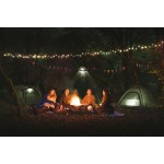 Намет двомісний Easy Camp Comet 200 Rustic Green (120404) Намет двомісний Easy Camp Comet 200 Rustic Green (120404)