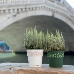 Вазон с автополивом Stefanplast Opera Cloe Вазон с автополивом Stefanplast Opera Cloe